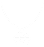 Shungite and elite necklace by eliteshungite.com